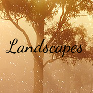 Landscapes