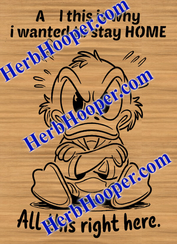 This is why i stay home Pattern
