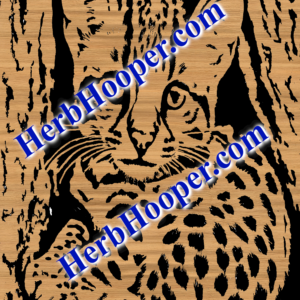 Baby Leopard Pattern