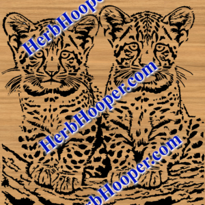 Double Trouble Pattern